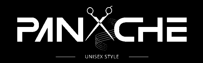 Panache Salon logo designed by PSKS Web Services